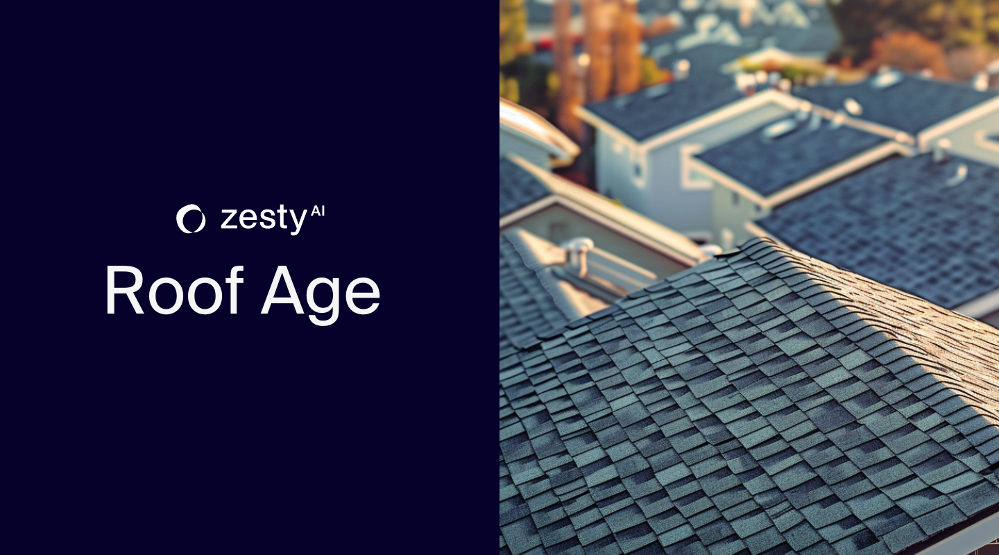 ZestyAI Unveils Roof Age Solution for Property Risk Assessment 