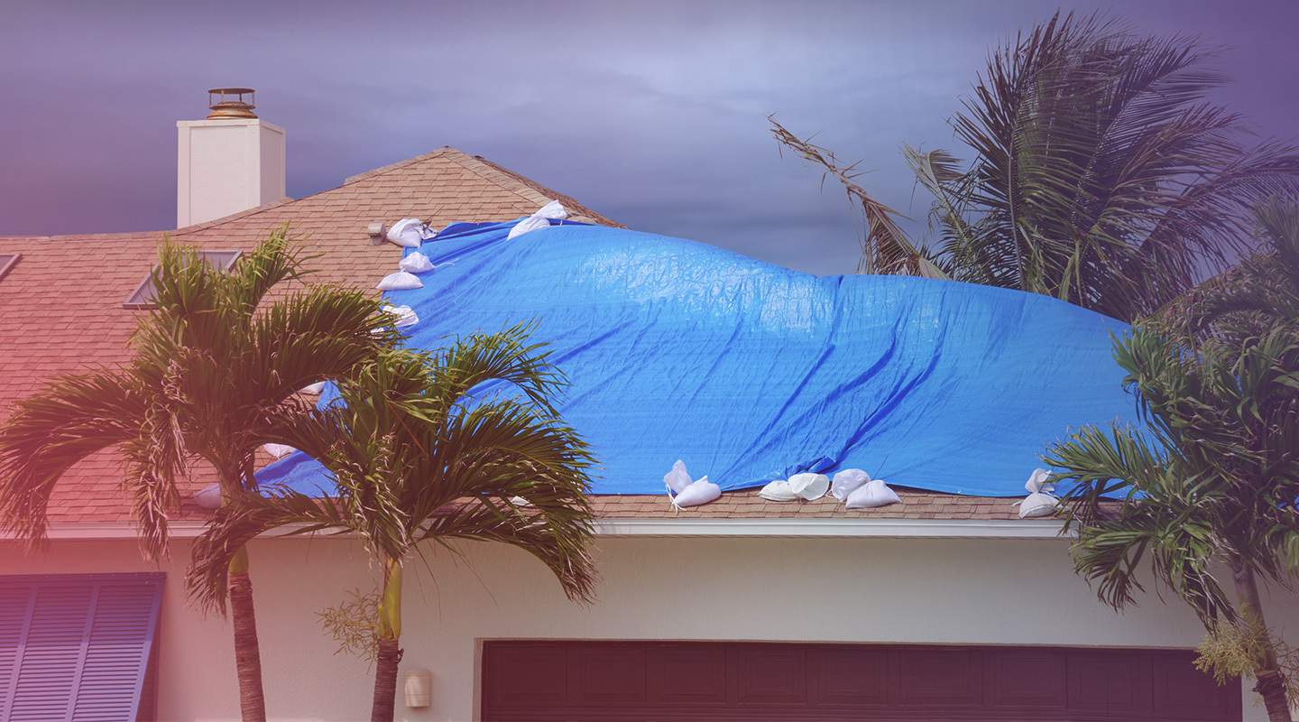 Z-WIND™ Severity Score